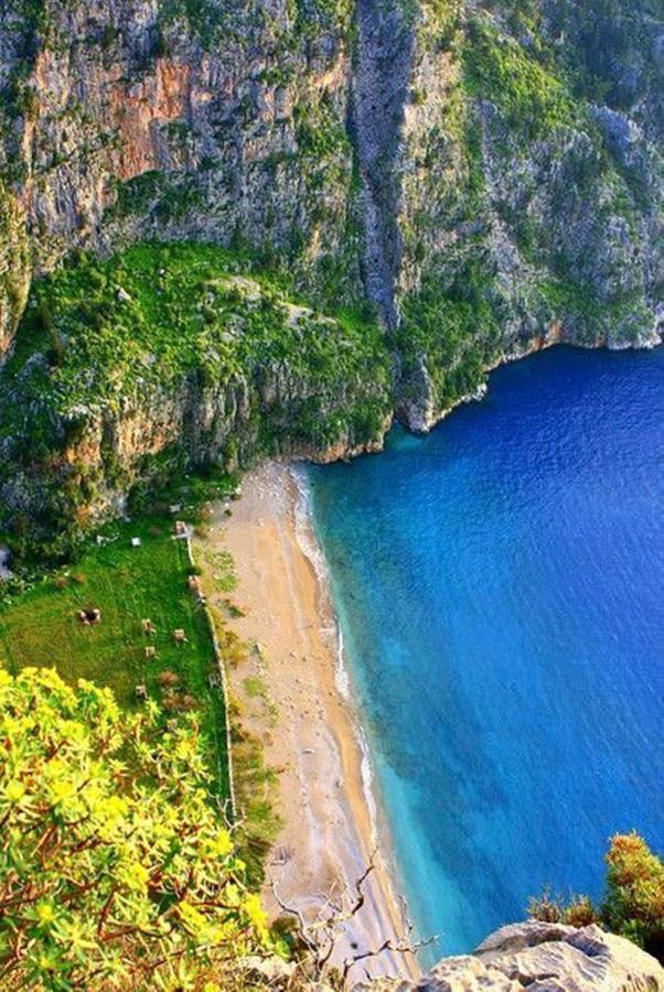 Green Forest Holiday Village Oludeniz Exterior foto